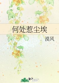 何处惹尘埃